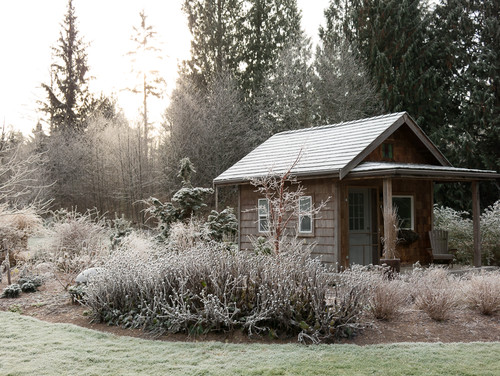 Make The Most Of Your Winter Garden