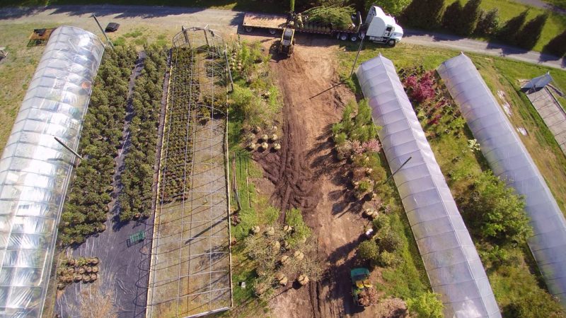 Waynesboro Nurseries Delivery Waynesboro Nurseries Delivery