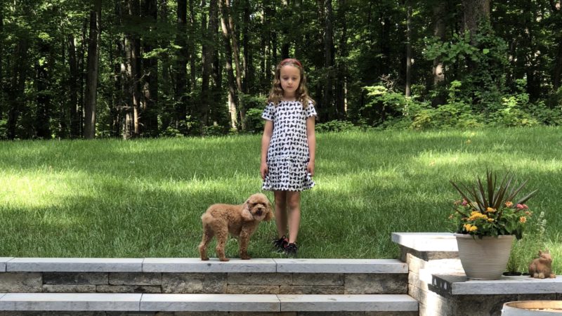 A Passion For Plants and Pets