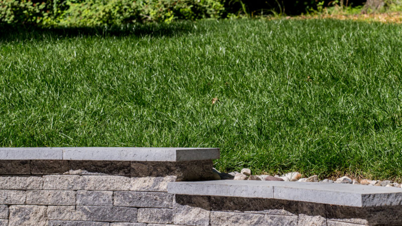 Spring Lawn Care