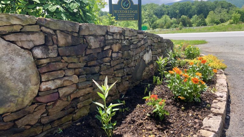 Time For Summer Annuals!