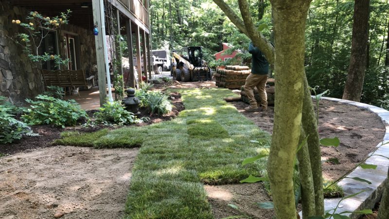 Instant Gratification With Grass