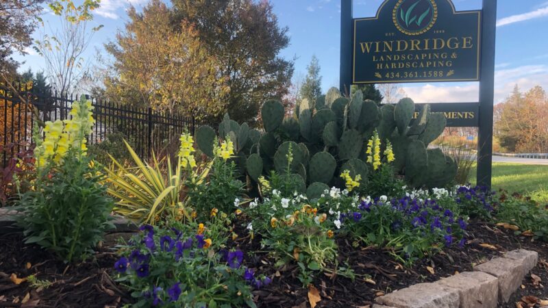 Fresh Annuals for Fall Fresh Annuals for Fall