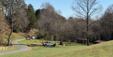 Fall Reforestation
